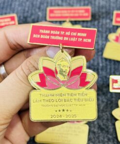 HUY HIỆU SẢN XUẤT THEO YÊU CẦU CAO CẤP 10 13 IMG 0899