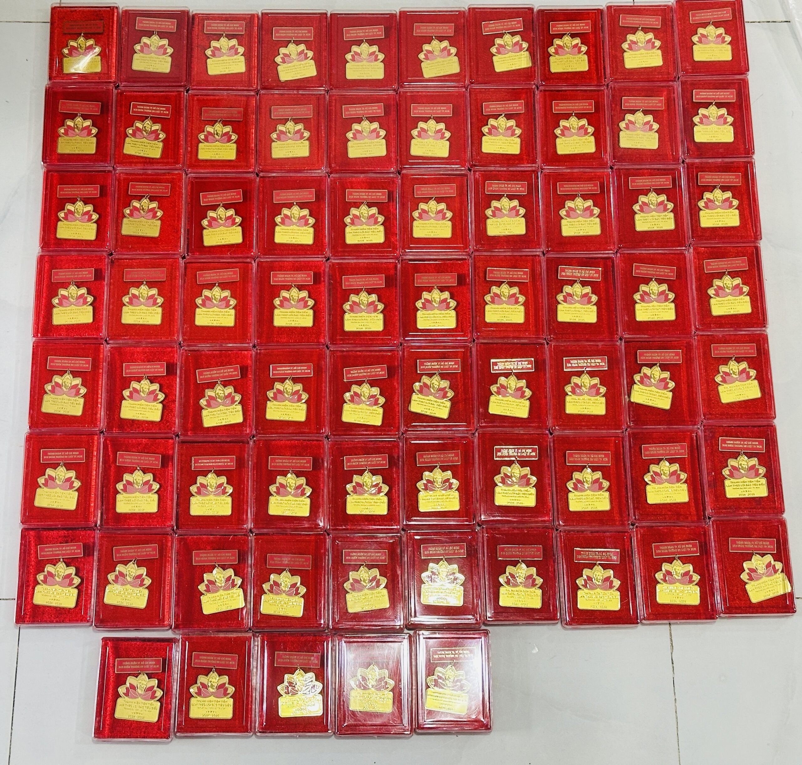 HUY HIỆU SẢN XUẤT THEO YÊU CẦU CAO CẤP 10 9 IMG 0909 scaled