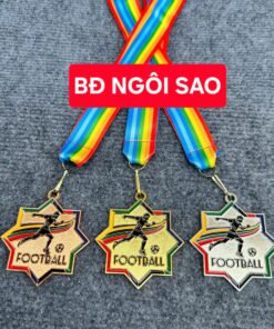 HUY CHƯƠNG THỂ THAO 05 8 z6607843695167 b898112ab9fd6eda44c60aa5b26c70de