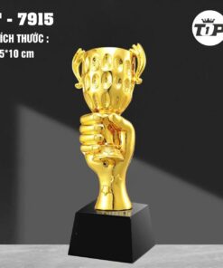 CÚP THỂ THAO 14 11 z6793264684970 c44ef35a742d8ac8eefc36fad04ea855