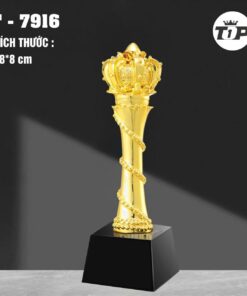 CÚP THỂ THAO 14 9 z6793264708118 ae13bca79a2770b910841b82c70ae9cb