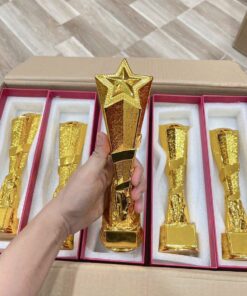 CÚP THỂ THAO 14 7 z6793266150555 904ea6373d2f647074101f6610b6b194