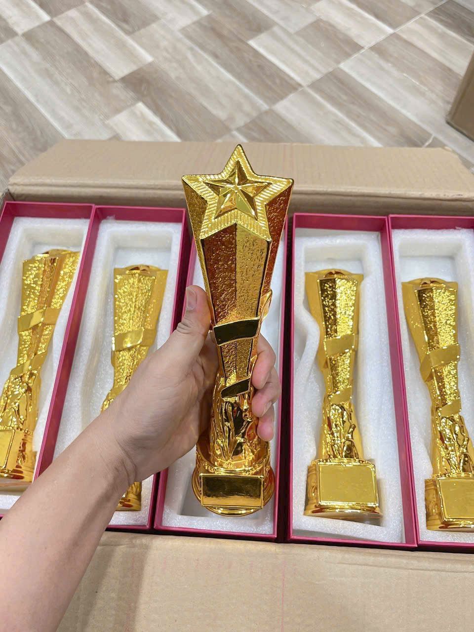 CÚP THỂ THAO 14 2 z6793266150555 904ea6373d2f647074101f6610b6b194