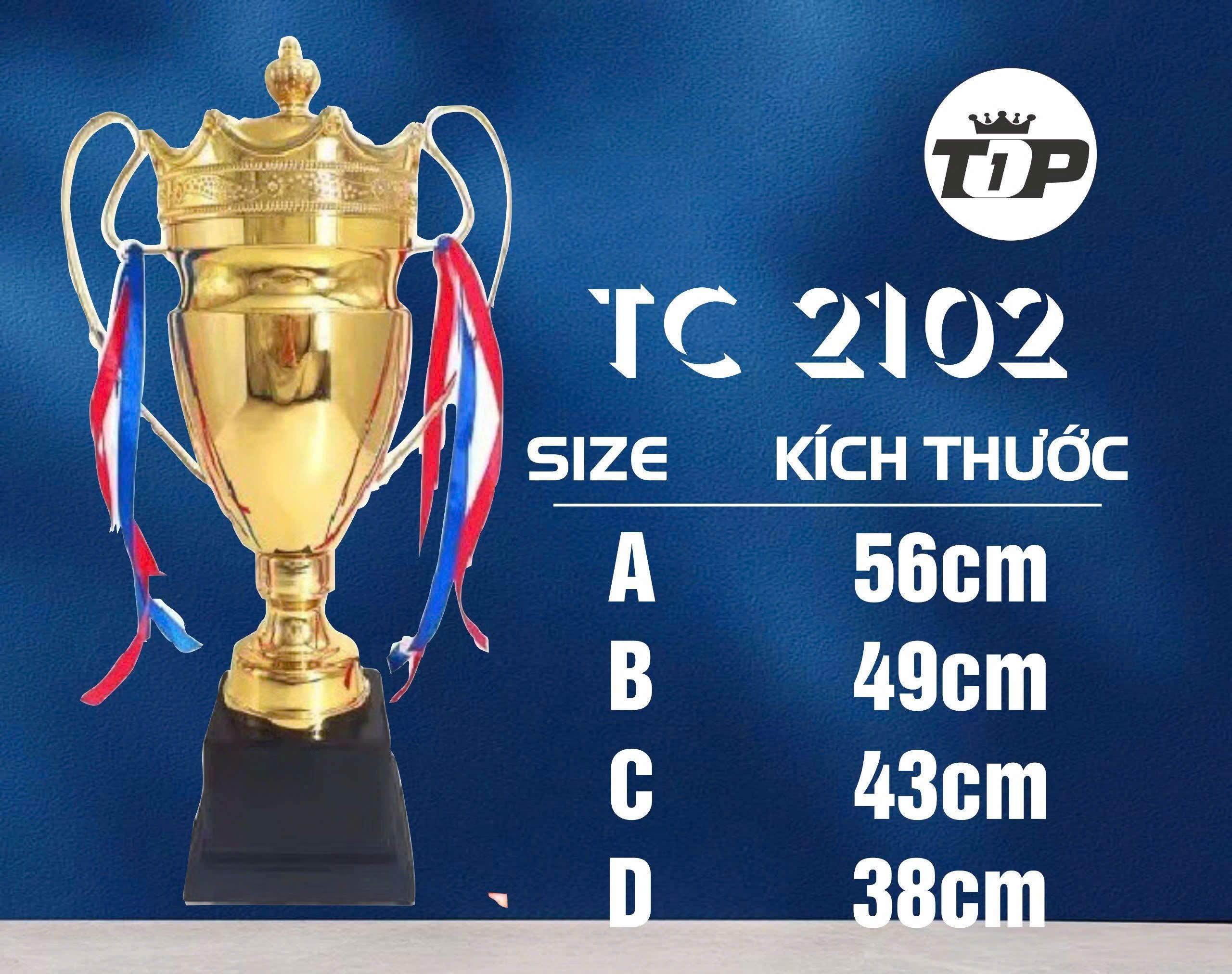 CÚP THỂ THAO 02 1 z6794112839710 aca4d61278c09aab57315cd820a5cc22