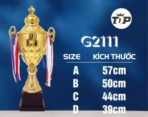 CÚP THỂ THAO 02 10 z6794112843132 4ba276dfa0c36a3477916d1bb8301e38