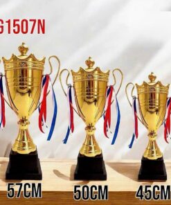 CÚP THỂ THAO 12 11 z6794112844645 f3a5857fcb8f9e5b7899cc58d700b5d4