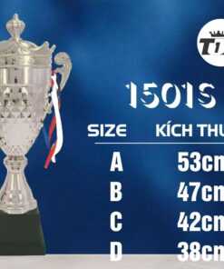 CÚP THỂ THAO 01 9 z6794112849985 54fc393478dc29f8d09a1ef190a92e7c