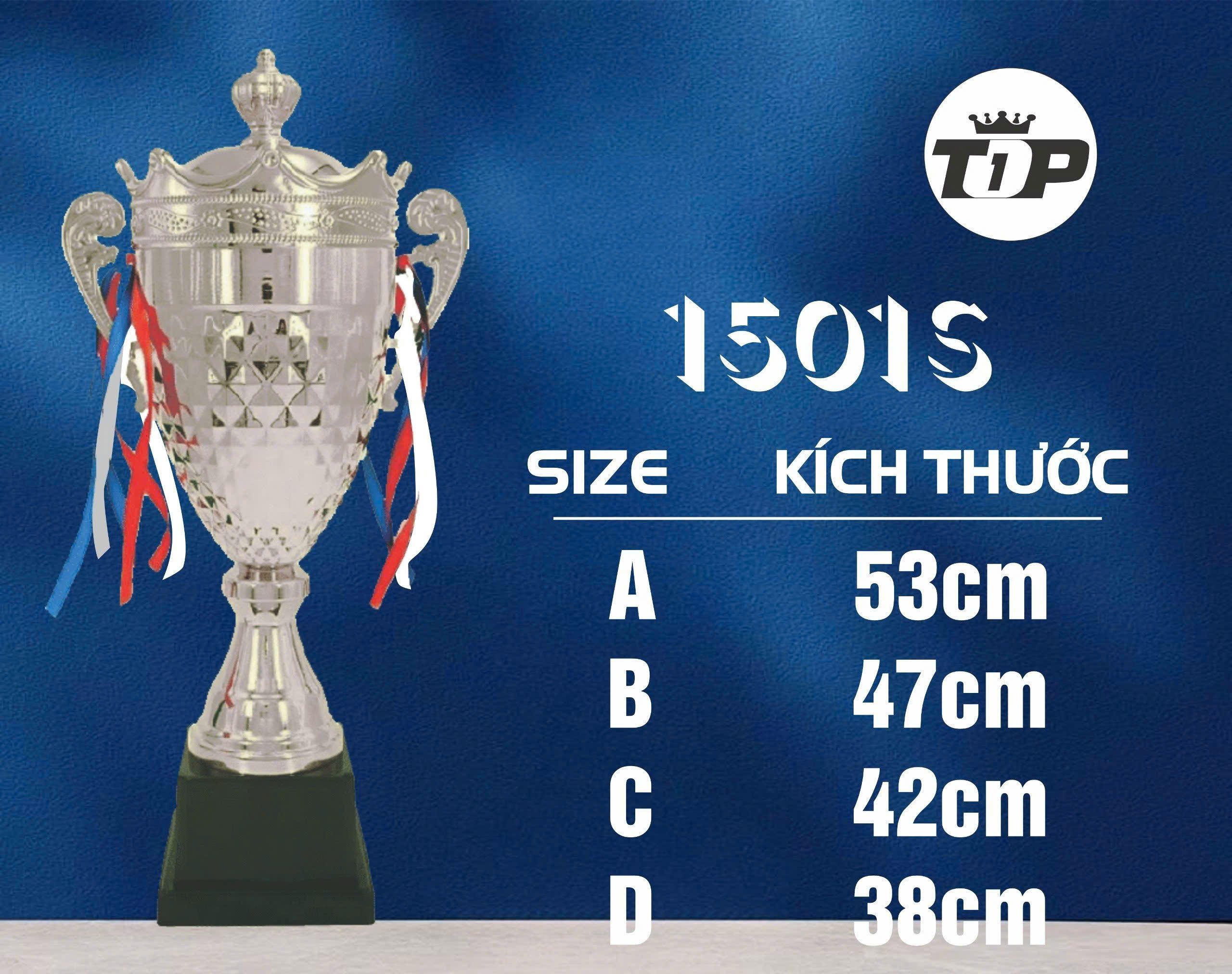 CÚP THỂ THAO 01 5 z6794112849985 54fc393478dc29f8d09a1ef190a92e7c