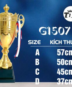 CÚP THỂ THAO 01 8 z6794112902460 d6d16ece28a92bcbb1bc55ce7a2c0708