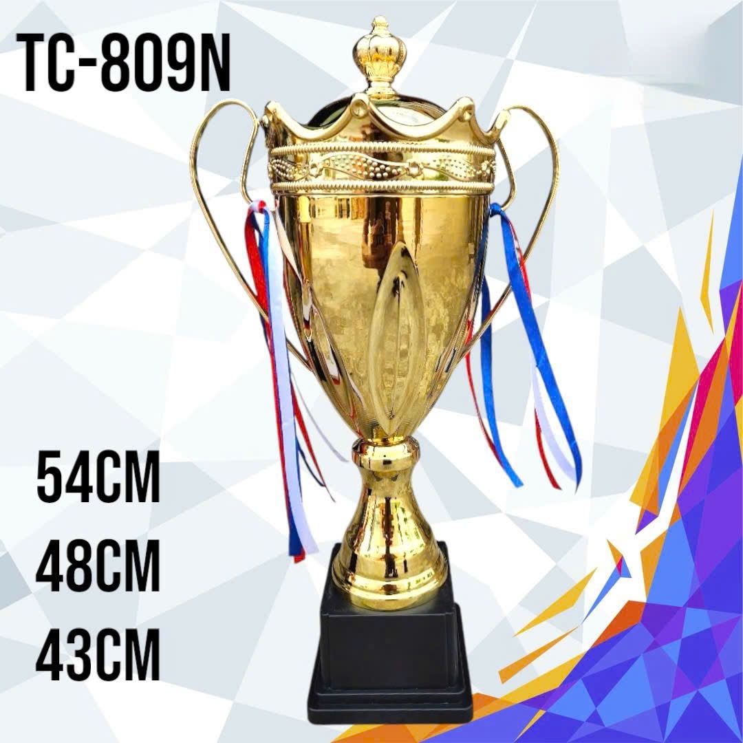 CÚP THỂ THAO 13 1 z6794112905387 3d7fb7efbbc9b78ce29b38fd33431ce5