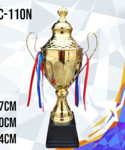 CÚP THỂ THAO 13 8 z6794112908520 35332d2ad28036e5b9f9d41bba15c2b5