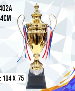 CÚP THỂ THAO 13 6 z6794112916879 d475b3b51f70d576d163e1f3fe9814d1