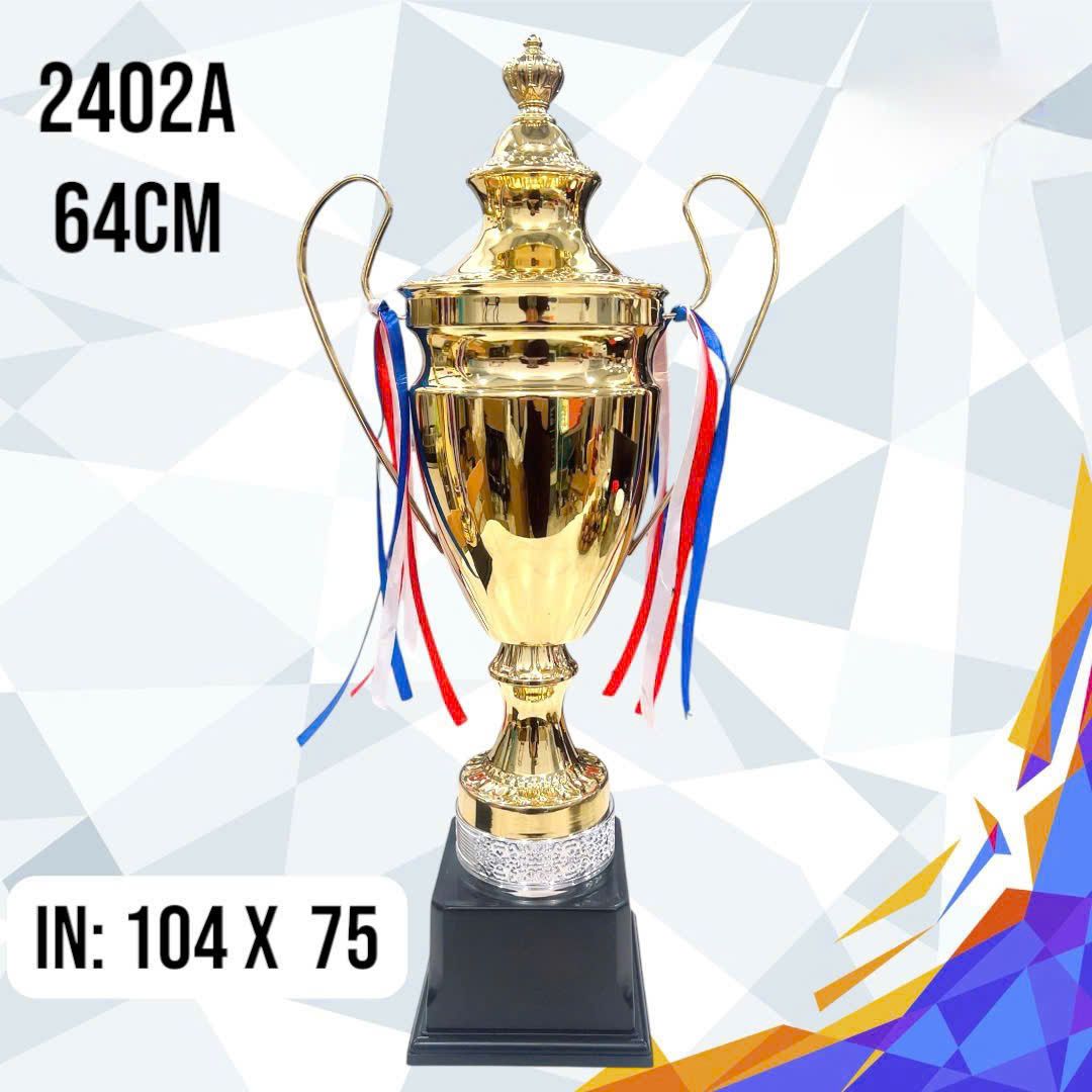 CÚP THỂ THAO 13 2 z6794112916879 d475b3b51f70d576d163e1f3fe9814d1