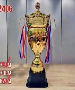 CÚP THỂ THAO 12 10 z6794112921128 b6d8138797e9b0a783a650b5454ea1eb