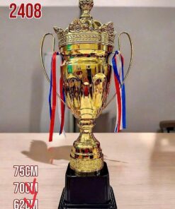 CÚP THỂ THAO 12 9 z6794112924254 45d864e5ddb68ede33b445cdc8658392