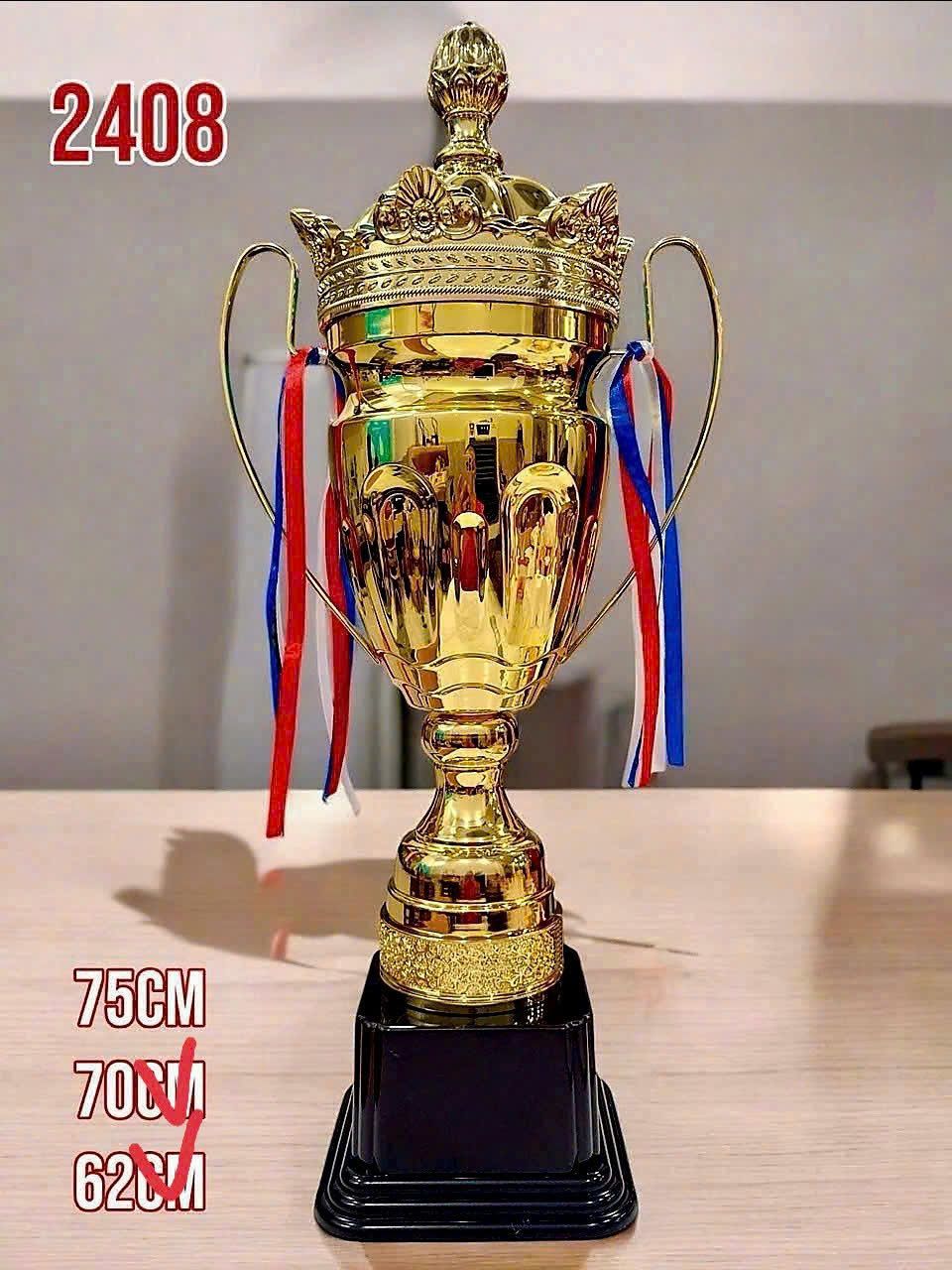 CÚP THỂ THAO 12 4 z6794112924254 45d864e5ddb68ede33b445cdc8658392