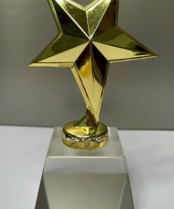 CÚP THỂ THAO 12 8 z6830227697895 27ccaf08a2b9488422592a76ad89c8ec