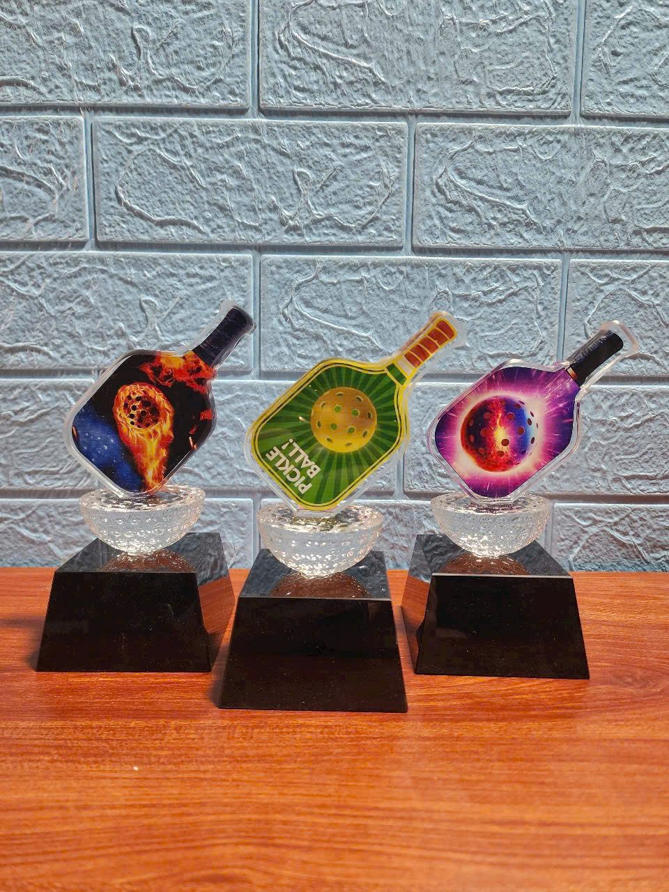 CÚP THỂ THAO 10 4 z6830227736307 45dfc3f32838ba42aa4f13289db8e079