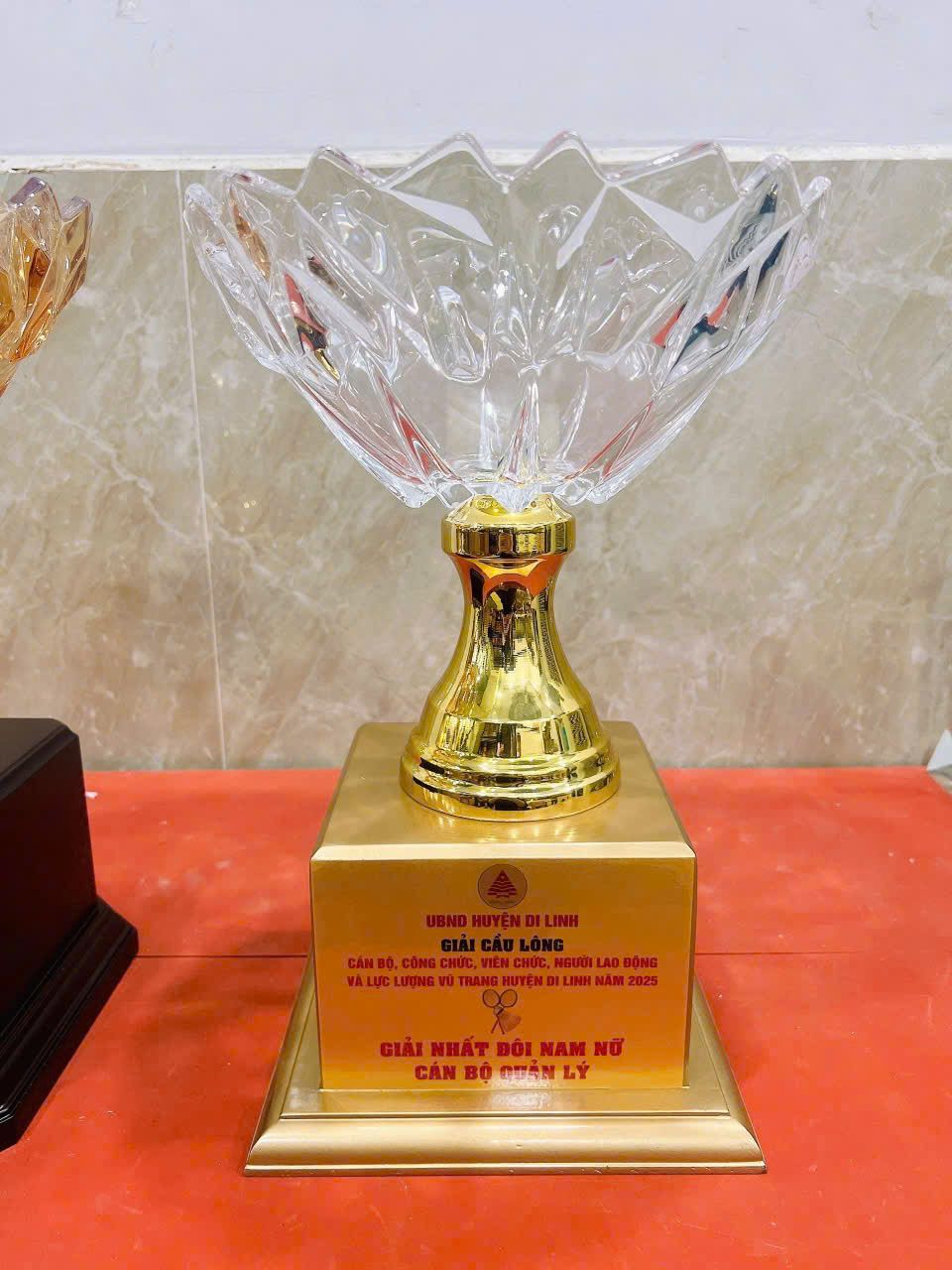 CÚP THỂ THAO 07 1 z6830227786650 a6a48b1a335d459a2733036b85b39079