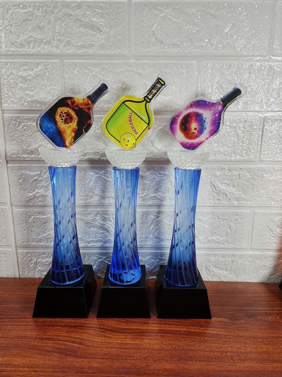 CÚP THỂ THAO 05 1 z6830227815303 d9533ed000118326079d8fded79bea1f