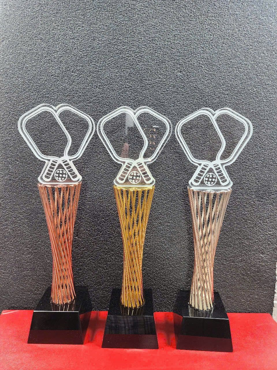 CÚP THỂ THAO 04 2 z6830227826778 8fde4df09cc0657a992325f2d65b014d