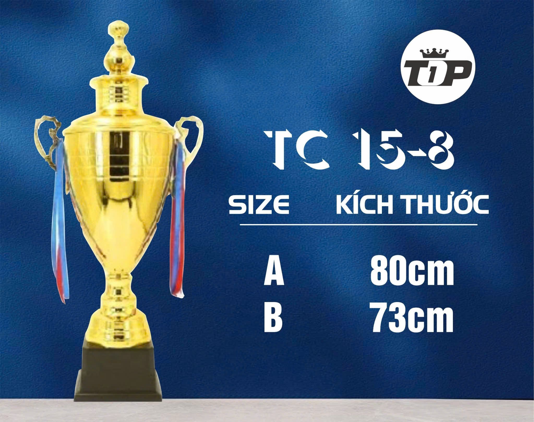 CÚP THỂ THAO 01 1 z6832855628979 c0de30e6b3ac7dd498dd3e5ad9b24fdc