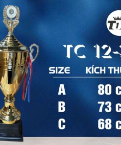 CÚP THỂ THAO 01 7 z6832855631707 b5e25fea2e58bb61194b616af73c0b6b