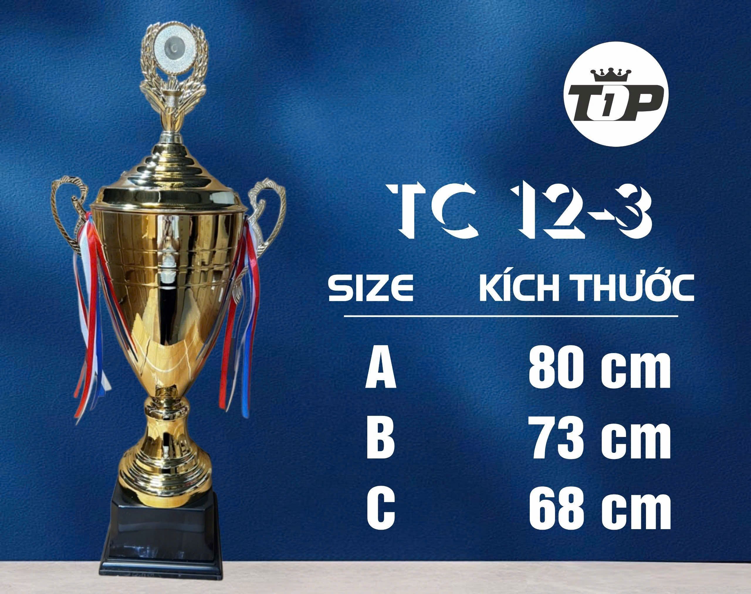 CÚP THỂ THAO 01 3 z6832855631707 b5e25fea2e58bb61194b616af73c0b6b