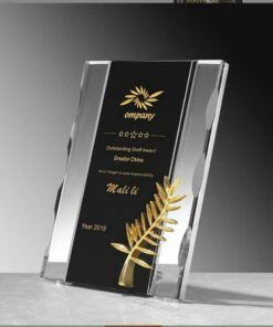 z6871276747754 d067ea1736b524041e9487a0411f59c3 1