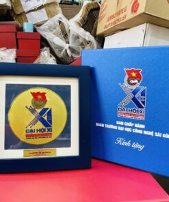 KỶ NIỆM CHƯƠNG ĂN MÒN CAO CẤP 01 8 z6871369563071 49aae32efa98bf8936b83cd0c00fafad