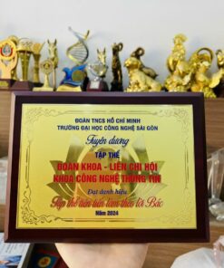 KỶ NIỆM CHƯƠNG ĂN MÒN CAO CẤP 01 9 z6871369566918 63e1e71acf5c1e2d9d2640f0e830811c