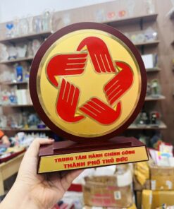 KỶ NIỆM CHƯƠNG ĂN MÒN CAO CẤP 01 11 z6871369736407 333a0a698f5a5723e76d334a91f93125