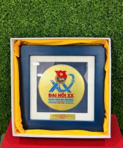 KỶ NIỆM CHƯƠNG ĂN MÒN CAO CẤP 02