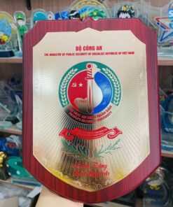 KỶ NIỆM CHƯƠNG ĂN MÒN CAO CẤP 03 8 z6871370135328 ade67459896dbff80044c1505f284da0