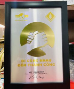 KỶ NIỆM CHƯƠNG ĂN MÒN CAO CẤP 03 10 z6871370192413 0bc5a564a8751b8f260125a3e74c3a78