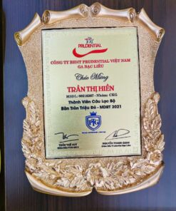 KỶ NIỆM CHƯƠNG ĂN MÒN CAO CẤP 03 11 z6871370203511 59aab833a77e9d48178af496578e5aa6