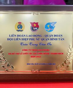 KỶ NIỆM CHƯƠNG ĂN MÒN CAO CẤP 04 9 z6871370225870 e92e1cf864721db70f6c1a473e15e2c6