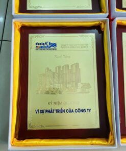 KỶ NIỆM CHƯƠNG ĂN MÒN CAO CẤP 04 10 z6871370230861 c2c5ededa3025e46c1aa15835a2e4ae7