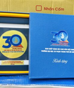 KỶ NIỆM CHƯƠNG ĂN MÒN CAO CẤP 05 7 z6871384641135 59e27fef0f287ec08f824339073f7c15