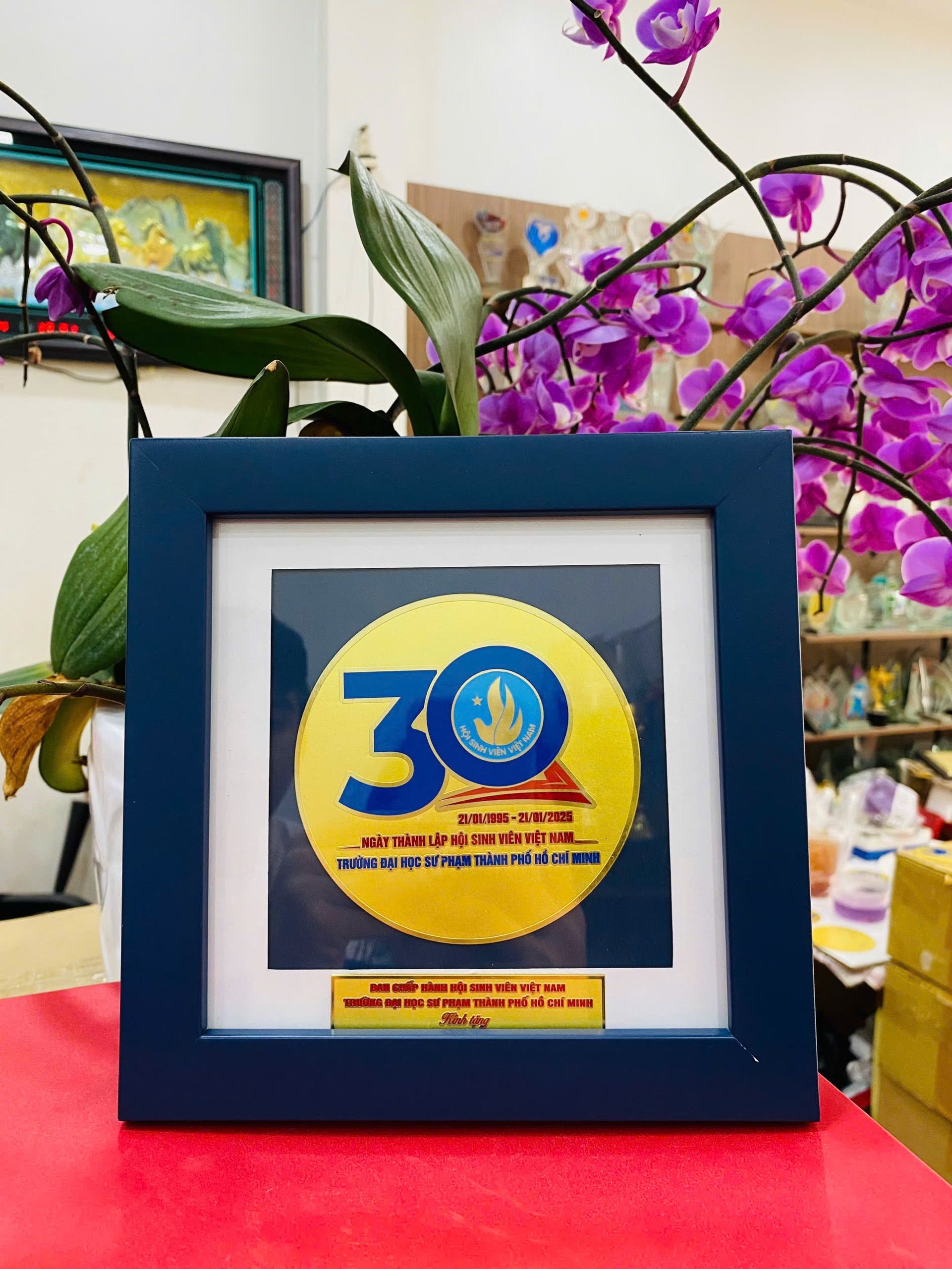 KỶ NIỆM CHƯƠNG ĂN MÒN CAO CẤP 05 3 z6871384650135 d24b513fee23ef2fb240edb6b0515cd3