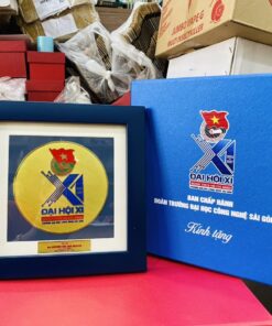 KỶ NIỆM CHƯƠNG ĂN MÒN CAO CẤP 06 13 z6871384730959 cb3d8d8bc649321c845814e7a7e03da0