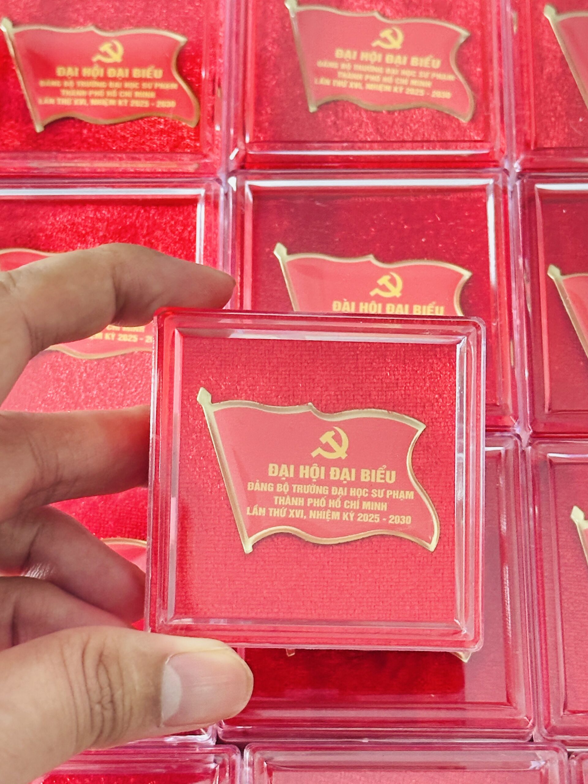 HUY HIỆU SẢN XUẤT THEO YÊU CẦU CAO CẤP 03 5 z6871546346077 e72c5bb5b6ccea69b3051422f2b7734a scaled