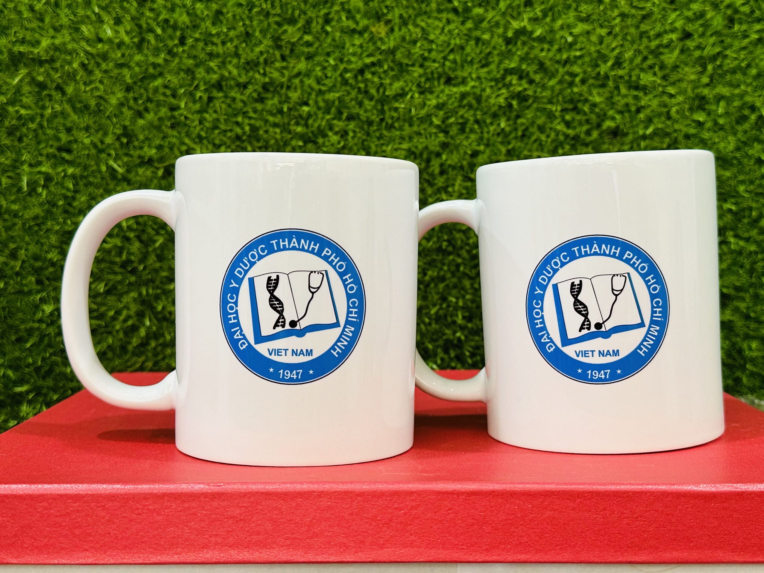 LY SỨ 10 3 z6871588905745 01a85601ab78254132fc017599b867cc scaled