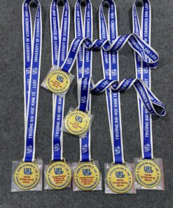 HUY CHƯƠNG ĂN MÒN 02 7 z6871606769315 87319420ad9046fe64bc9a18445a5fba