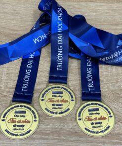 HUY CHƯƠNG ĂN MÒN 07 7 z6871641873610 946246f14a8514ed3a894a8aace7c391