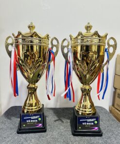 CÚP THỂ THAO 19 6 z6871793656296 a2f91bc8a014d6c1d764296752628fea