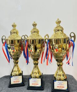 CÚP THỂ THAO 19 8 z6871793667309 df0d09cb3880d540bb2fc48953352083