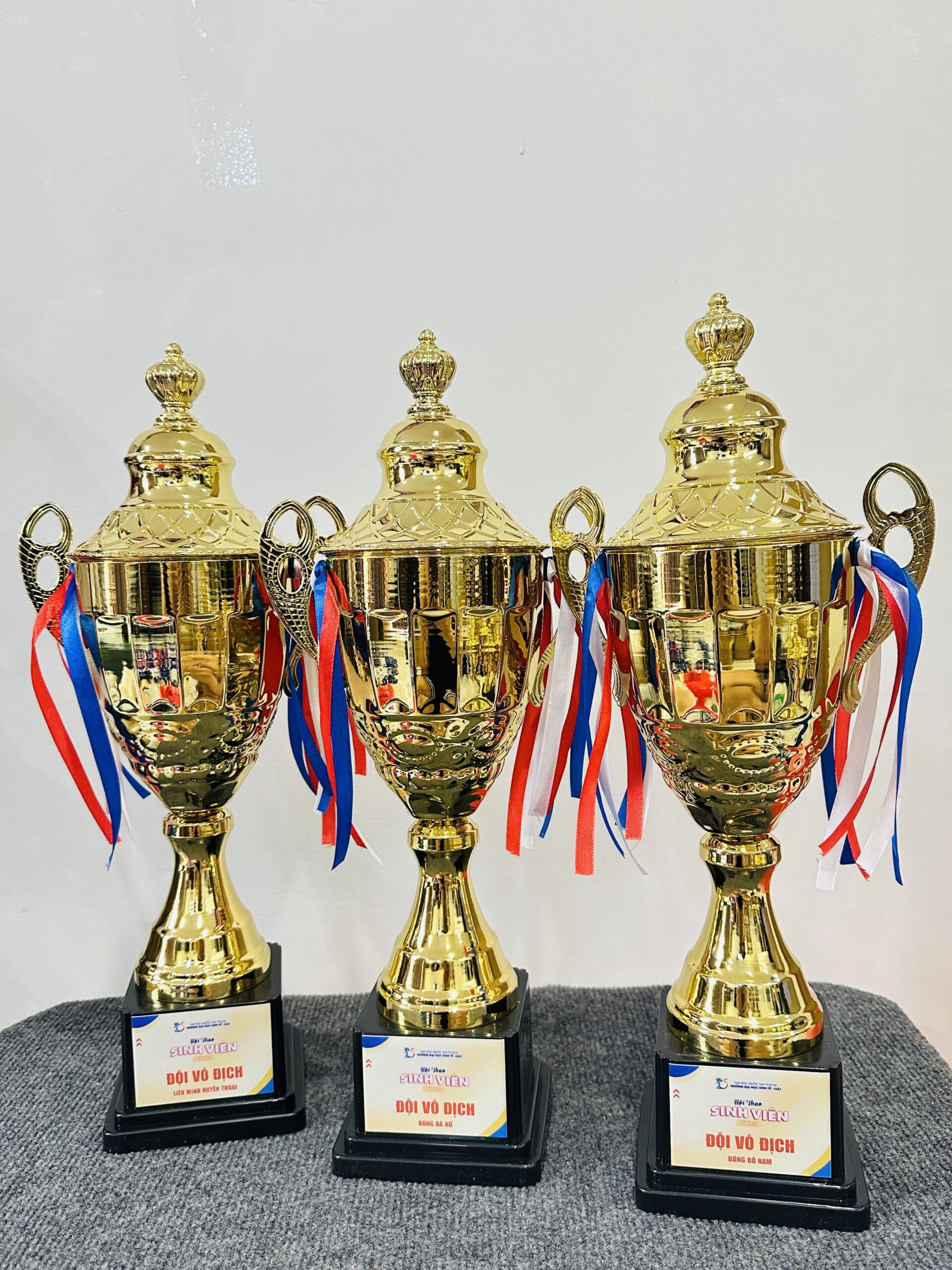 CÚP THỂ THAO 19 4 z6871793667309 df0d09cb3880d540bb2fc48953352083 scaled