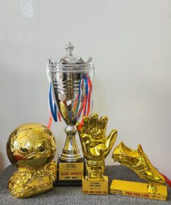 CÚP THỂ THAO 19 9 z6871793668821 83c97cf23608bbe33da78cf54e21301b