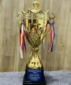 CÚP THỂ THAO 17 10 z6871793710024 04f931056bab545bb2ed3a8fc44454b3